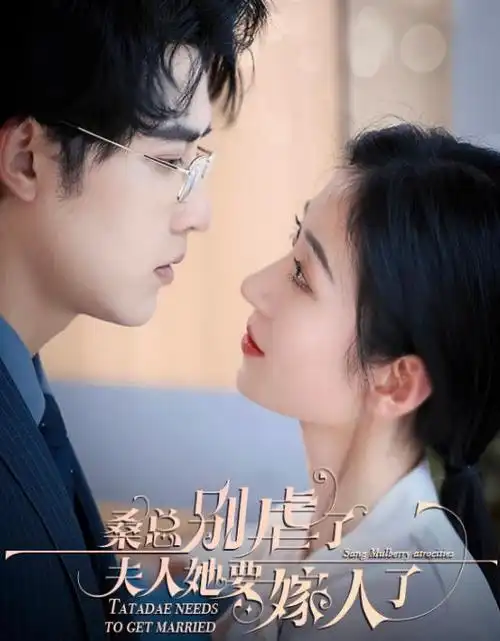 总裁的替身新娘 热播短剧免费观看